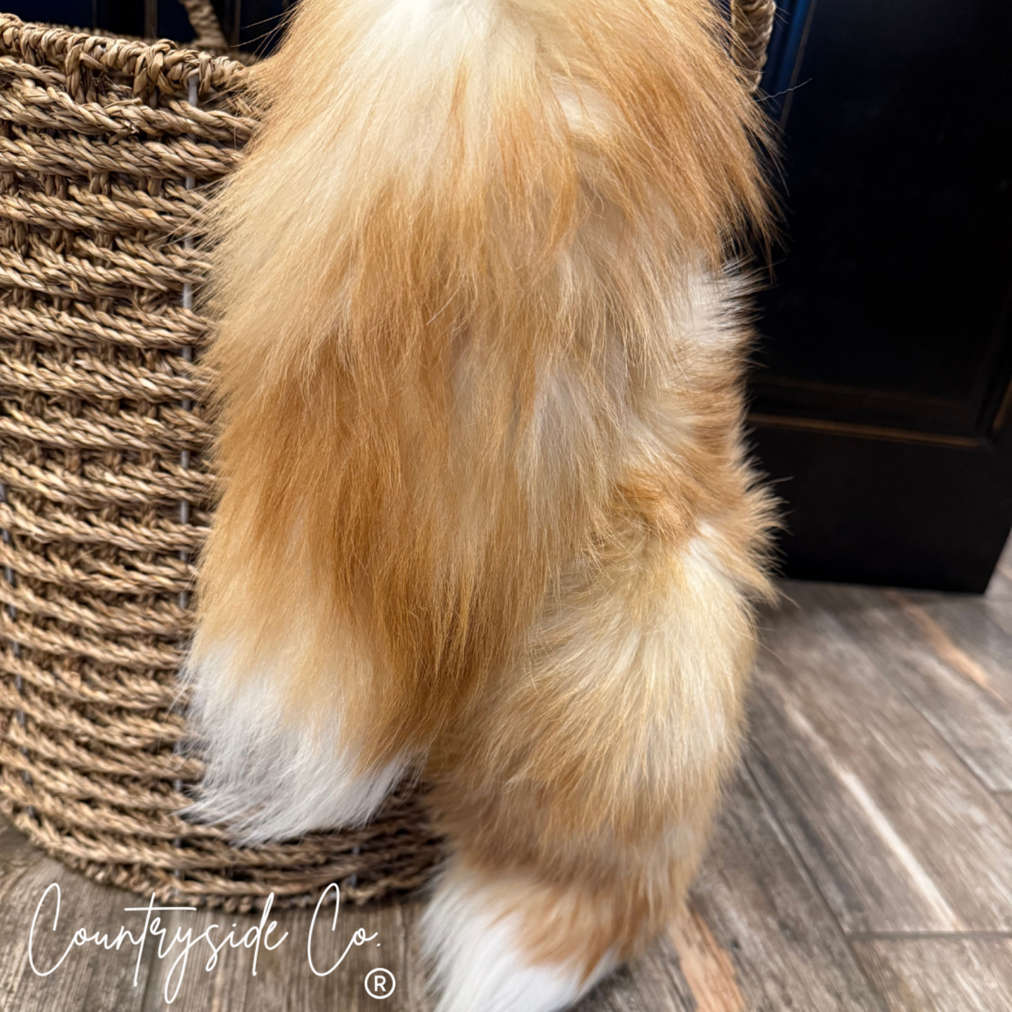 Genuine Fox Tails