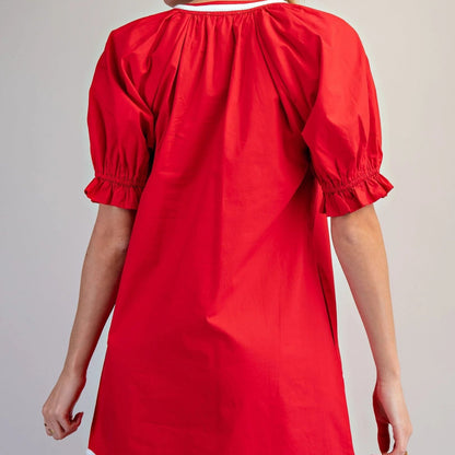 Floral Embroidered Notched Neck Mini Dress