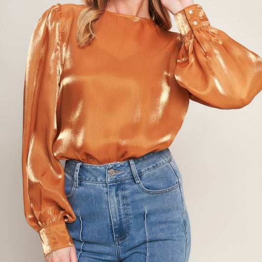 Shinny long sleeve blouse